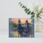 アミッシュホースチーム ポストカード (スタンド正面)