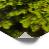 アミッシュ乳母車アットヒルサイドファーム ポスター (角)