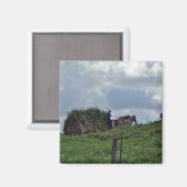 アミッシュ収穫 マグネット (正面/裏面)