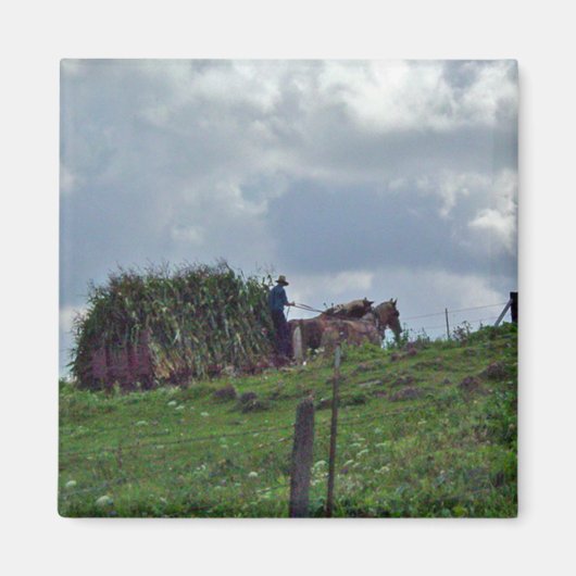 アミッシュ収穫 マグネット (正面)