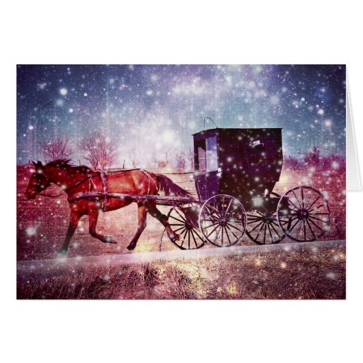 アミッシュ宇宙 (正面横)