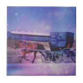 アミッシュ宇宙 タイル (正面)