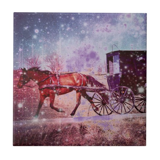 アミッシュ宇宙 タイル (正面)