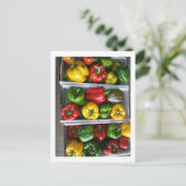 アミッシュ市場の野菜 ポストカード (スタンド正面)