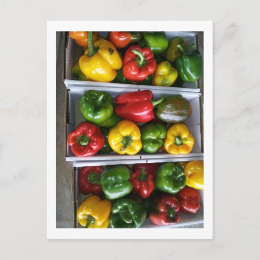 アミッシュ市場の野菜 ポストカード (正面)