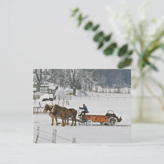 アミッシュ荷車を引くウマのギディアップ葉書 ポストカード (スタンド正面)