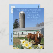 アミッシュ葉書ライフはギフトだ。テキストの追加 ポストカード (正面/裏面)