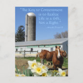 アミッシュ葉書ライフはギフトだ。テキストの追加 ポストカード (正面)