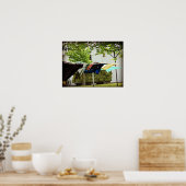 アミッシュ衣料品ラインと干し草ワゴン ポスター (キッチン)