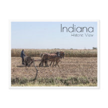 アミッシュ農家植えトウモロコシ