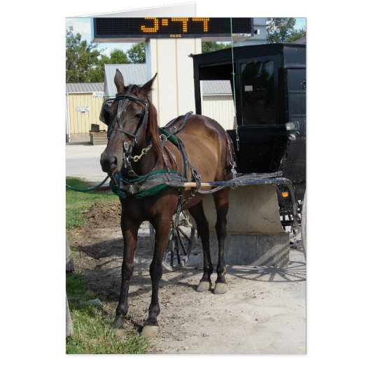 アミッシュ馬と乳母車食料品店ストップ屋 (正面)