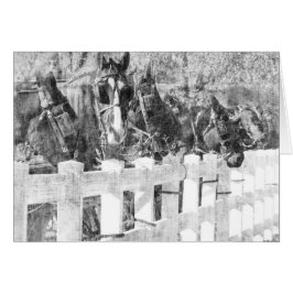 アミッシュ馬のライン白黒