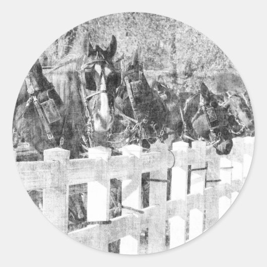 アミッシュ馬のライン白黒 ラウンドシール (正面)