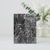 アミッシュ馬の白黒グランジ ポストカード (スタンド正面)