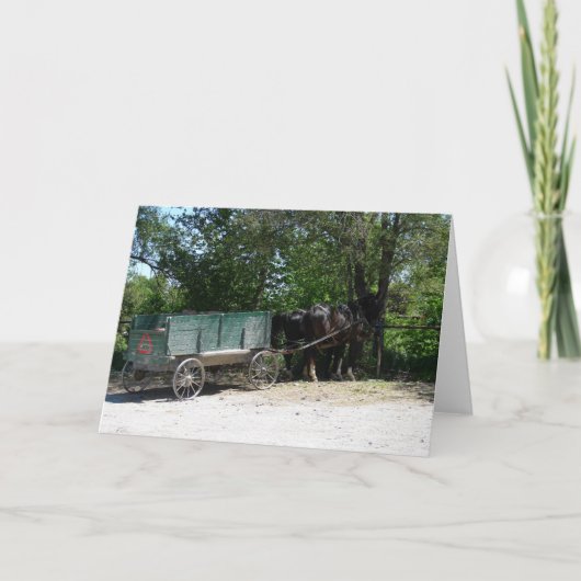 アミッシュ馬 カード (正面)