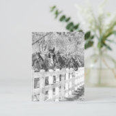 アミッシュ・ウーズ・ブラック・アンド・ホワイト ポストカード (スタンド正面)