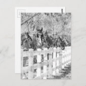 アミッシュ・ウーズ・ブラック・アンド・ホワイト ポストカード (正面/裏面)