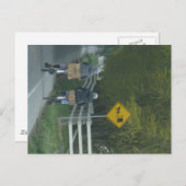 アミッシュ・コミュニティ ポストカード (正面/裏面)