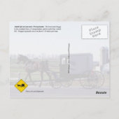 アミッシュ・ホースと乳母車、ランカスター、PA ポストカード (裏面)