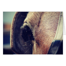 アミッシュ・ホース