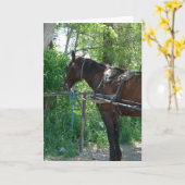 アミッシュ·ホース·ウェイティング カード (黄色い花)