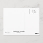 アミッシュ・ホース ポストカード (裏面)