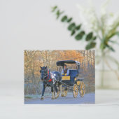 アミッシュ・ボーイ結婚が馬車を走る ポストカード (スタンド正面)