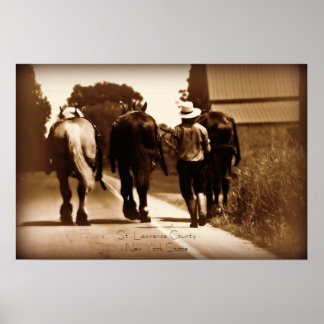 アミッシュ・ライフ・ポスター ポスター