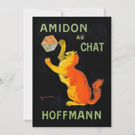 アミドンオチャット | レオネトカピエロ (正面)