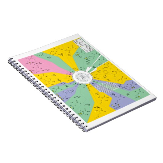 アミノ酸の残余を示す遺伝コードの図表 ノートブック (右側)