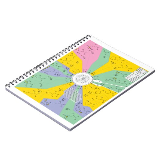 アミノ酸の残余を示す遺伝コードの図表 ノートブック (左側)