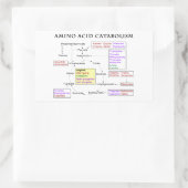 アミノ酸の異化の図表 長方形シール (バッグ)