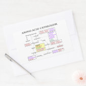 アミノ酸の異化の図表 長方形シール (封筒)