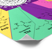 アミノ酸の遺伝的コドン・チャート・ホイール ポスター (角)