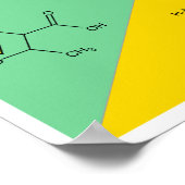 アミノ酸化学分子同定チャート ポスター (角)