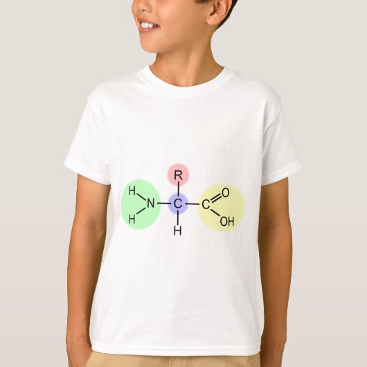 アミノ酸図 Tシャツ (正面)