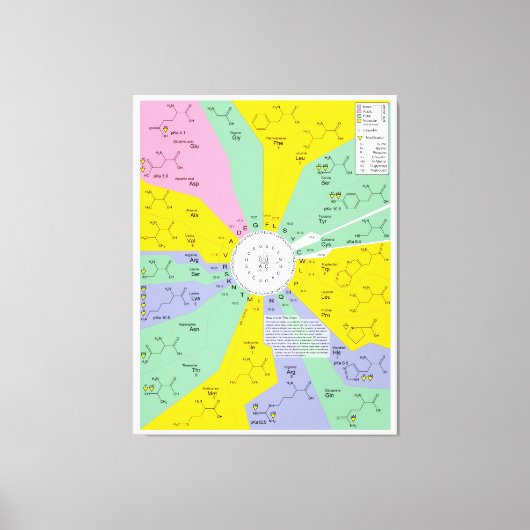 アミノ酸残基を示す遺伝子コード図 キャンバスプリント (正面)