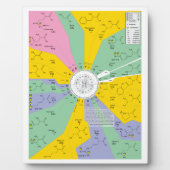 アミノ酸残基を示す遺伝子コード図 フォトプラーク (正面)