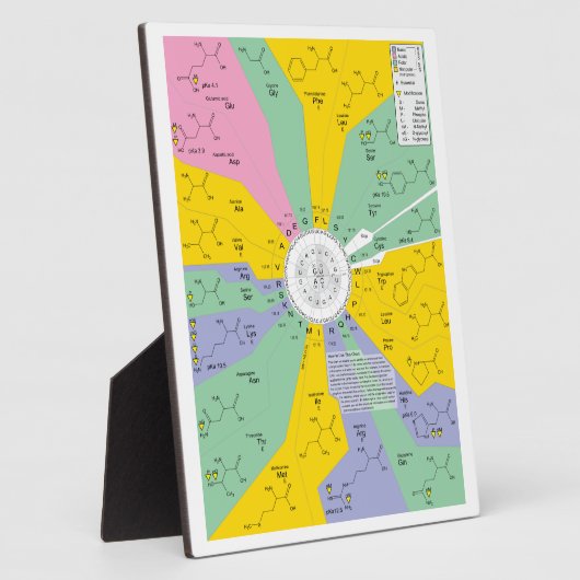 アミノ酸残基を示す遺伝子コード図 フォトプラーク (側面)