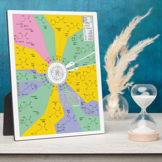 アミノ酸残基を示す遺伝子コード図 フォトプラーク (側面)