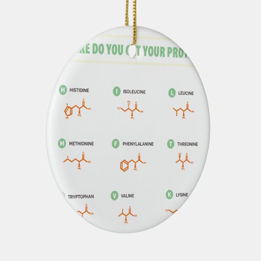 アミノ酸-どこからあなたの蛋白質を得ますか。 セラミックオーナメント (右)