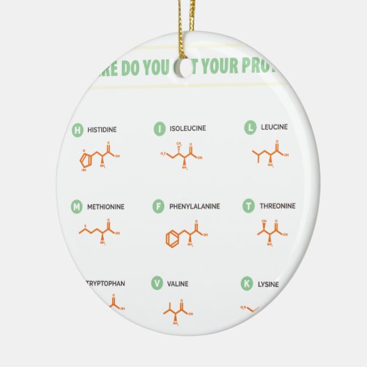 アミノ酸-どこからあなたの蛋白質を得ますか。 セラミックオーナメント (左)