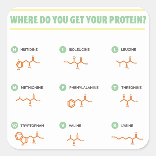 アミノ酸 – タンパク質はどこで手に入れたの? スクエアシール (正面)