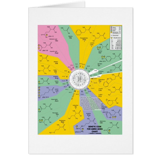 アミノ酸(図表の車輪)のための遺伝コード (正面)