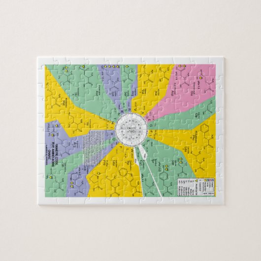 アミノ酸(図表の車輪)のための遺伝コード ジグソーパズル (横)