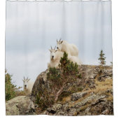 アミヤギ3頭//コロラド野生動物 シャワーカーテン (正面)