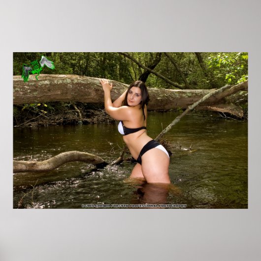 アミラ・エンジェルのアニマルシェルター資金集めポスター ポスター (正面)