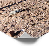 アミーゴサグアロス3 ポスター (角)