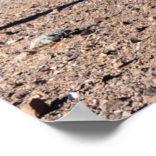 アミーゴサグアロス3 ポスター (角)