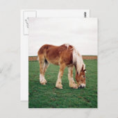 アミ荷車を引くッシュ・ホース ポストカード (正面/裏面)